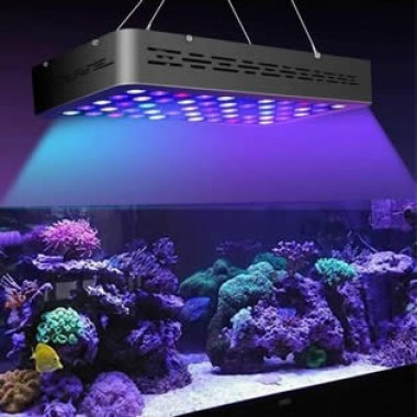 led-aquario